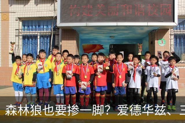 森林狼也要掺一脚？爱德华兹、三球联手招募，詹姆斯去向即将揭晓