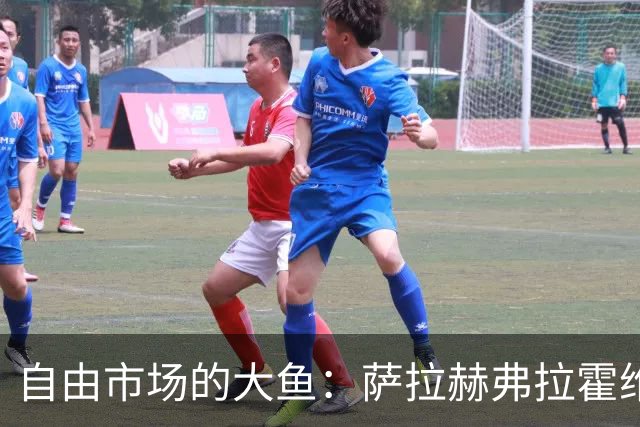 自由市场的大鱼：萨拉赫弗拉霍维奇在列 桑乔或再回多特
