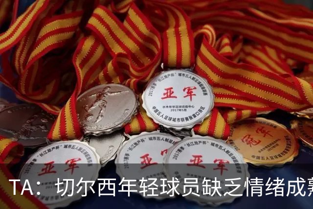 TA：切尔西年轻球员缺乏情绪成熟度，但签30+球员不会成常规操作
